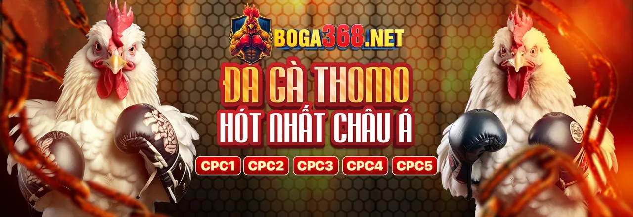 Tổng quan về nền tảng cá cược red888 link mới